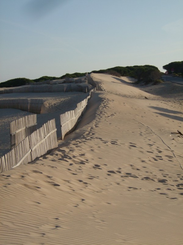 Anadalusien 2009 - 0452 